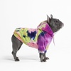 image:imageSpark Paws Dog Hoodie  ButterySoft Sweater Sweatshirt Clothes for PuppyBerry Lemonade
