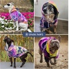 image:imageSpark Paws Dog Hoodie  ButterySoft Sweater Sweatshirt Clothes for PuppyBerry Lemonade