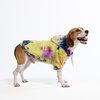 image:imageSpark Paws Dog Hoodie  ButterySoft Sweater Sweatshirt Clothes for PuppyBerry Lemonade