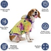 image:imageSpark Paws Dog Hoodie  ButterySoft Sweater Sweatshirt Clothes for PuppyBerry Lemonade