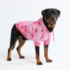 image:imageSpark Paws Dog Hoodie  ButterySoft Sweater Sweatshirt Clothes for PuppyBlossom
