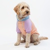 image:imageSpark Paws Dog Hoodie  ButterySoft Sweater Sweatshirt Clothes for PuppyCotton Candy