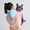 image:imageSpark Paws Dog Hoodie  ButterySoft Sweater Sweatshirt Clothes for PuppyCotton Candy