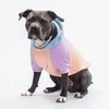 image:imageSpark Paws Dog Hoodie  ButterySoft Sweater Sweatshirt Clothes for PuppyCotton Candy