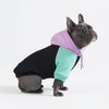 image:imageSpark Paws Dog Hoodie  ButterySoft Sweater Sweatshirt Clothes for PuppyCyber Punk