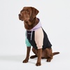 image:imageSpark Paws Dog Hoodie  ButterySoft Sweater Sweatshirt Clothes for PuppyCyber Punk