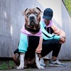 image:imageSpark Paws Dog Hoodie  ButterySoft Sweater Sweatshirt Clothes for PuppyCyber Punk