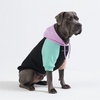 image:imageSpark Paws Dog Hoodie  ButterySoft Sweater Sweatshirt Clothes for PuppyCyber Punk