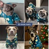 image:imageSpark Paws Dog Hoodie  ButterySoft Sweater Sweatshirt Clothes for PuppyDaisy