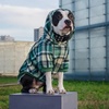 image:imageSpark Paws Dog Hoodie  ButterySoft Sweater Sweatshirt Clothes for PuppyGreen Plaid