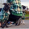 image:imageSpark Paws Dog Hoodie  ButterySoft Sweater Sweatshirt Clothes for PuppyGreen Plaid