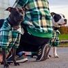 image:imageSpark Paws Dog Hoodie  ButterySoft Sweater Sweatshirt Clothes for PuppyGreen Plaid
