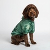 image:imageSpark Paws Dog Hoodie  ButterySoft Sweater Sweatshirt Clothes for PuppyGreen Skydye