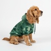 image:imageSpark Paws Dog Hoodie  ButterySoft Sweater Sweatshirt Clothes for PuppyGreen Skydye