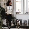 image:imageSpark Paws Dog Hoodie  ButterySoft Sweater Sweatshirt Clothes for PuppyOlive Cream