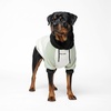 image:imageSpark Paws Dog Hoodie  ButterySoft Sweater Sweatshirt Clothes for PuppyOlive Cream