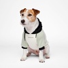 image:imageSpark Paws Dog Hoodie  ButterySoft Sweater Sweatshirt Clothes for PuppyOlive Cream
