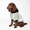 image:imageSpark Paws Dog Hoodie  ButterySoft Sweater Sweatshirt Clothes for PuppyOlive Cream