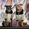 image:imageSpark Paws Dog Hoodie  ButterySoft Sweater Sweatshirt Clothes for PuppyOlive Cream