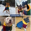 image:imageSpark Paws Dog Hoodie  ButterySoft Sweater Sweatshirt Clothes for PuppyPrimary Color Block