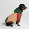 image:imageSpark Paws Dog Hoodie  ButterySoft Sweater Sweatshirt Clothes for PuppyRanger