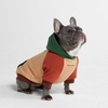 image:imageSpark Paws Dog Hoodie  ButterySoft Sweater Sweatshirt Clothes for PuppyRanger