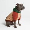 image:imageSpark Paws Dog Hoodie  ButterySoft Sweater Sweatshirt Clothes for PuppyRanger