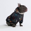 image:imageSpark Paws Dog Hoodie  ButterySoft Sweater Sweatshirt Clothes for PuppyRock and Roll