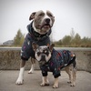 image:imageSpark Paws Dog Hoodie  ButterySoft Sweater Sweatshirt Clothes for PuppyRock and Roll