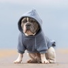 image:imageSpark Paws Dog Hoodie  ButterySoft Sweater Sweatshirt Clothes for PuppySlate Blue