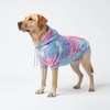 image:imageSpark Paws Dog Hoodie  ButterySoft Sweater Sweatshirt Clothes for PuppySnow Cone Skydye
