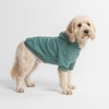 image:imageSpark Paws Dog Hoodie  ButterySoft Sweater Sweatshirt Clothes for PuppyTeal