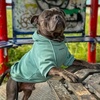 image:imageSpark Paws Dog Hoodie  ButterySoft Sweater Sweatshirt Clothes for PuppyTeal
