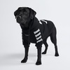 image:imageSpark Paws Dog Hoodie  ButterySoft Sweater Sweatshirt Clothes for PuppyWoof