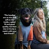 image:imageSpark Paws Human Hoodie  Matching outfit with your DogAlpine