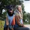 image:imageSpark Paws Human Hoodie  Matching outfit with your DogAlpine