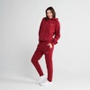 image:imageSpark Paws Human Hoodie  Matching outfit with your DogBurgundy