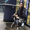 image:imageSpark Paws Human Hoodie  Matching outfit with your DogRock and Roll