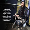 image:imageSpark Paws Human Hoodie  Matching outfit with your DogRock and Roll