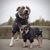image:imageSpark Paws Human Hoodie  Matching outfit with your DogRock and Roll