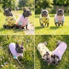 image:imageSpark Paws Sunblock Dog TShirt SPF 30 UV Sun Protection Summer CoolingBees  Gelato