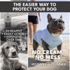 image:imageSpark Paws Sunblock Dog TShirt SPF 30 UV Sun Protection Summer CoolingBlue  Grey