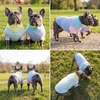 image:imageSpark Paws Sunblock Dog TShirt SPF 30 UV Sun Protection Summer CoolingBreeze  Sorbet