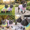 image:imageSpark Paws Sunblock Dog TShirt SPF 30 UV Sun Protection Summer CoolingGelato  Yuzu