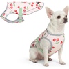 image:imageSpark Paws Dog Cooling Vest  Evaporative Summer Cooling SPF50 ProtectionCherries