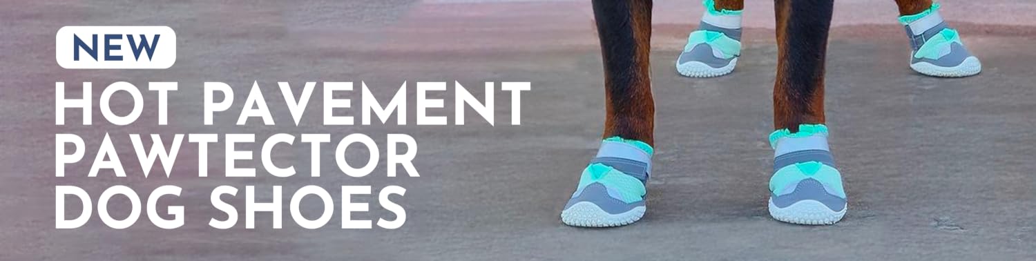 Spark Paws |  Fashion‑Forward Pet Gear for Every Dog,Dress Your Dog in Comfort, Style, and Love