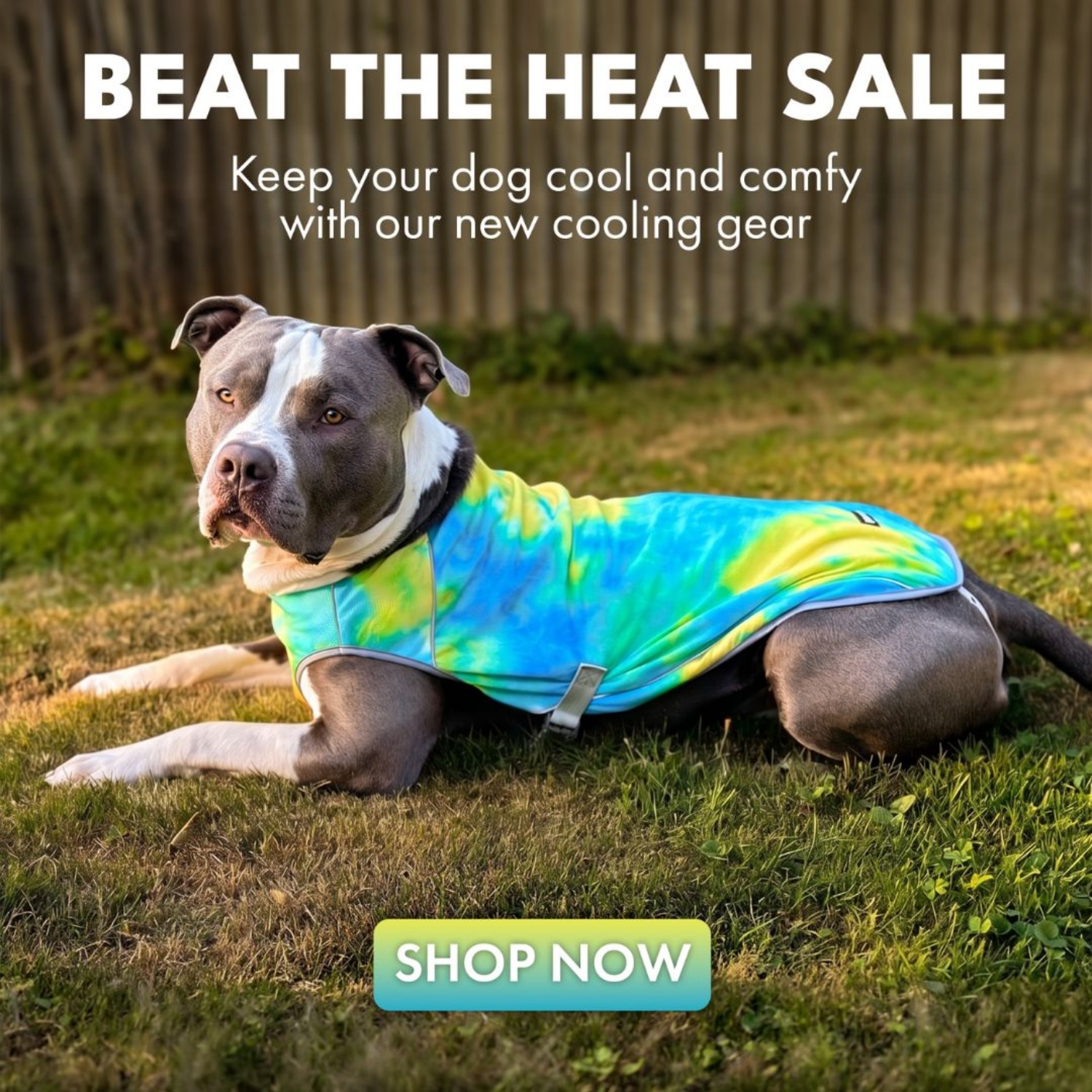 Spark Paws |  Fashion‑Forward Pet Gear for Every Dog,Dress Your Dog in Comfort, Style, and Love
