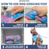 image:imageSpark Paws Dog Cooling Vest  Evaporative Summer Cooling SPF50 Protection