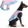 image:imageSpark Paws Dog Cooling Vest  Evaporative Summer Cooling SPF50 Protection
